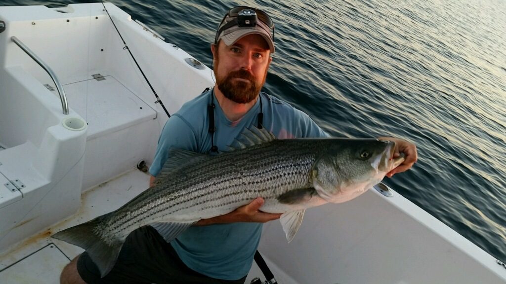 Striped bass need your voice – Cape Cod on the Fly