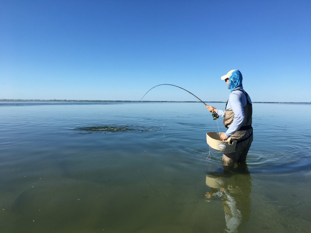 A new take – Cape Cod on the Fly